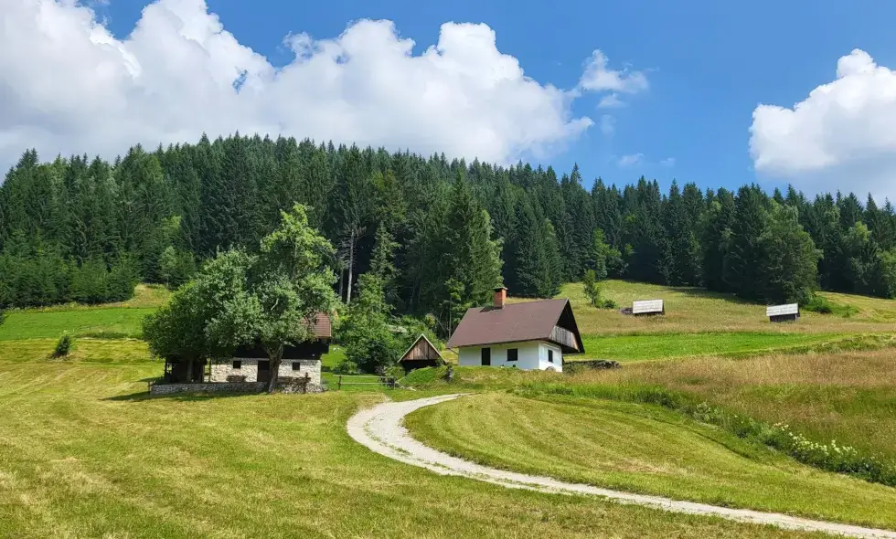 Highway Travel in Slovenia: Discover the Attractions