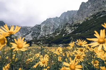 Slovenská dálniční známka: Cesta k možnostem cestování
