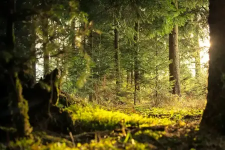 Erlebnisse in Slowenien für Autoreisende