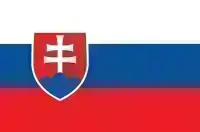 Slovacia - ÎNREGISTRAREA VEHICULULUI 2026